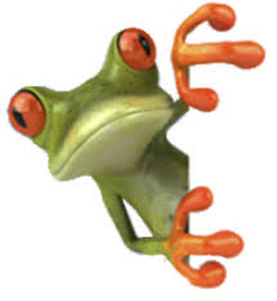 Watersport Botenverhuur